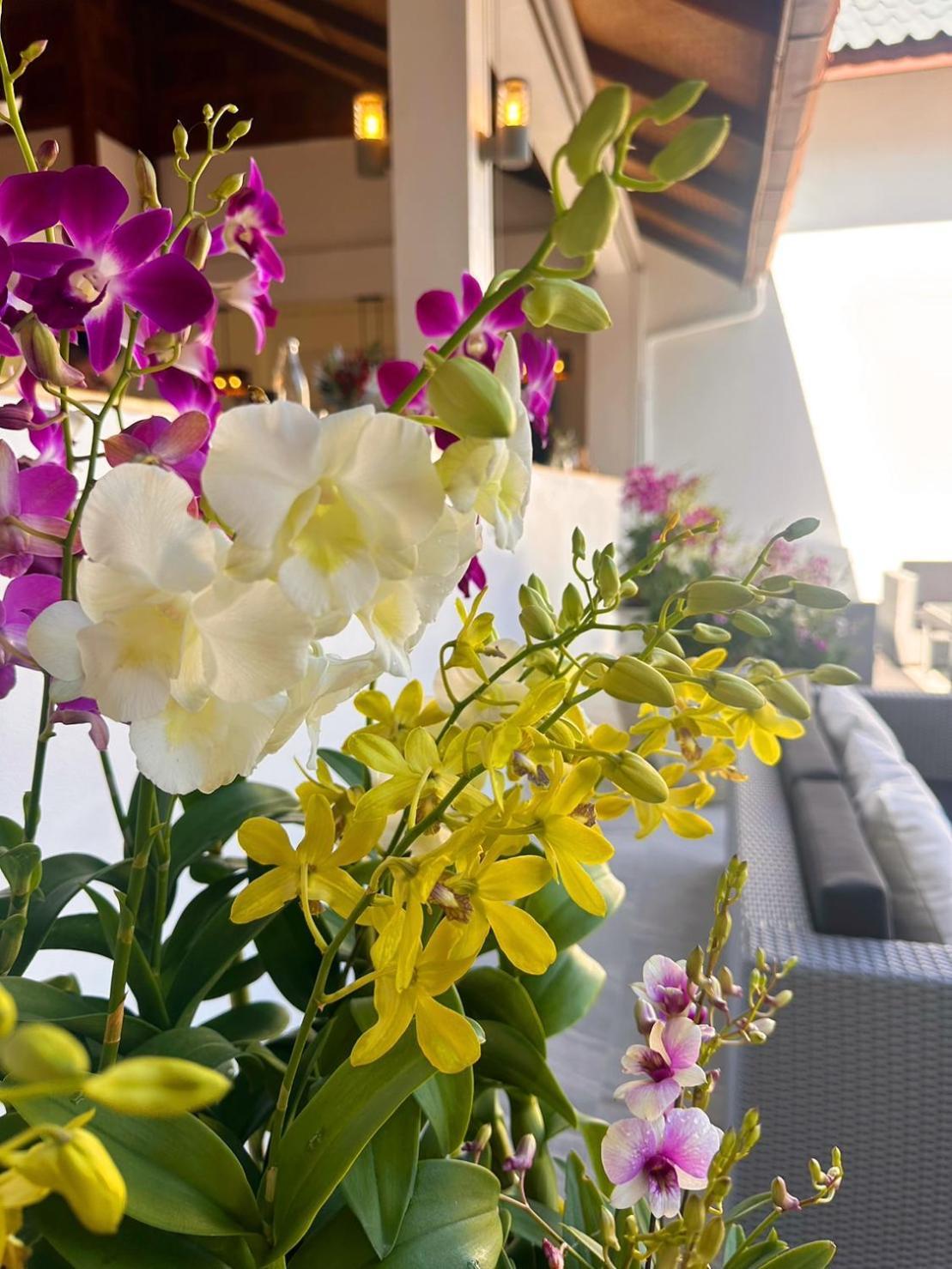 Ocean Pie Phuket - Adult Only Hotell Rawai Exteriör bild